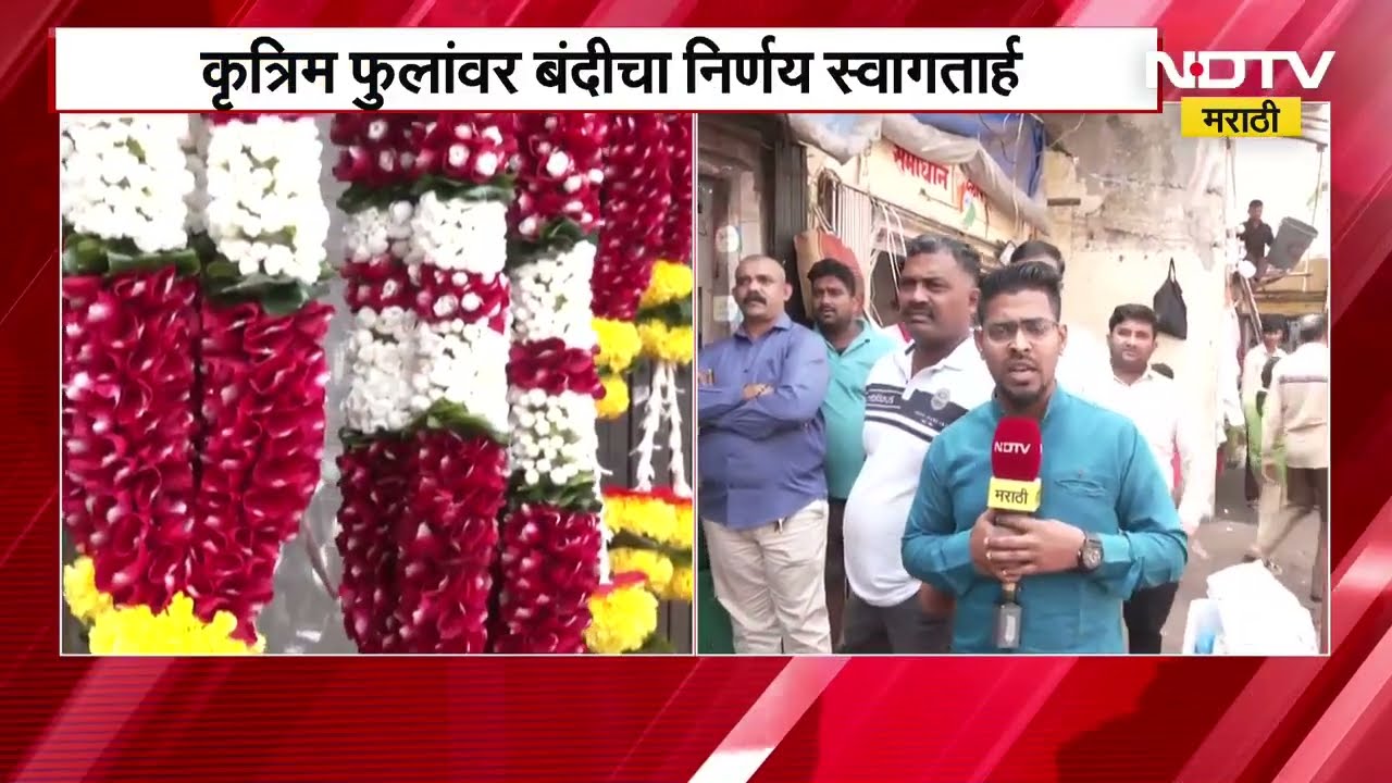 Ban on Atificial Flowers कृत्रिम फुलांवर बंदीचा निर्णय, दरदारच्या फुलमार्केटमधून NDTV मराठीचा आढावा