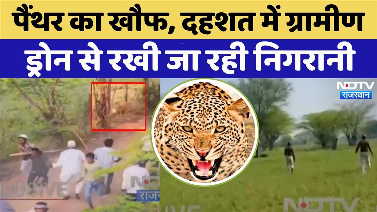 Leopard News: Ajmer में तेंदुए की दस्तक | Viral Video | Rajasthan Top News | Latest News