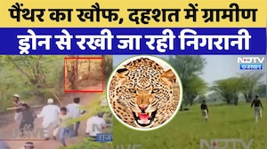 Leopard News: Ajmer में तेंदुए की दस्तक | Viral Video | Rajasthan Top News | Latest News