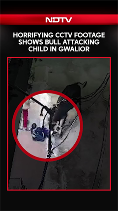 Horrifying CCTV Footage Shows Bull Attacking Child In Gwalior