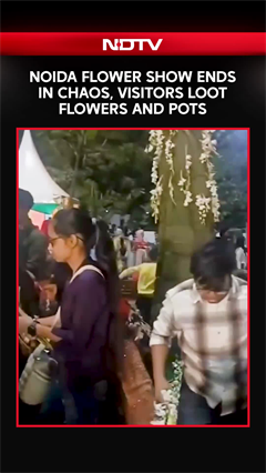 Noida News | Chaos After Noida Flower Show: Visitors Loot Flowers and Pots