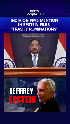 "Trashy Ruminations": India On PM Modi's Mention In Epstein Files