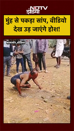 मुंह से पकड़ा सांप, वीडियो देख उड़ जाएंगे होश! | Snake Video | Odisha News | #snake #shorts
