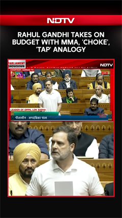 Video: Rahul Gandhi Takes On Budget With MMA, 'Choke', 'Tap' Analogy