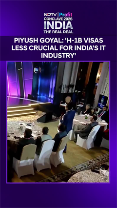 H1B Visa | "I Haven&rsquo;t Heard Any Company Ask For More H-1B Visas," Says Commerce Minister