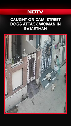 Woman Injured In Street Dog Attack In Sriganganagar, CCTV Footage Surfaces