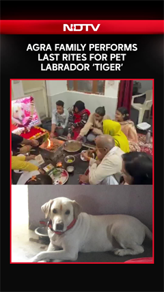 Agra Family Bids Emotional Farewell to Pet Labrador &lsquo;Tiger&rsquo;, Performs Last Rites