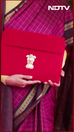Union Budget 2026: Leather Goods To TVs, What Gets Cheaper And Costlier?