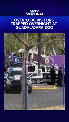 Mexico Violence | Over 1,000 Stranded At Guadalajara Zoo Amid Cartel Violence