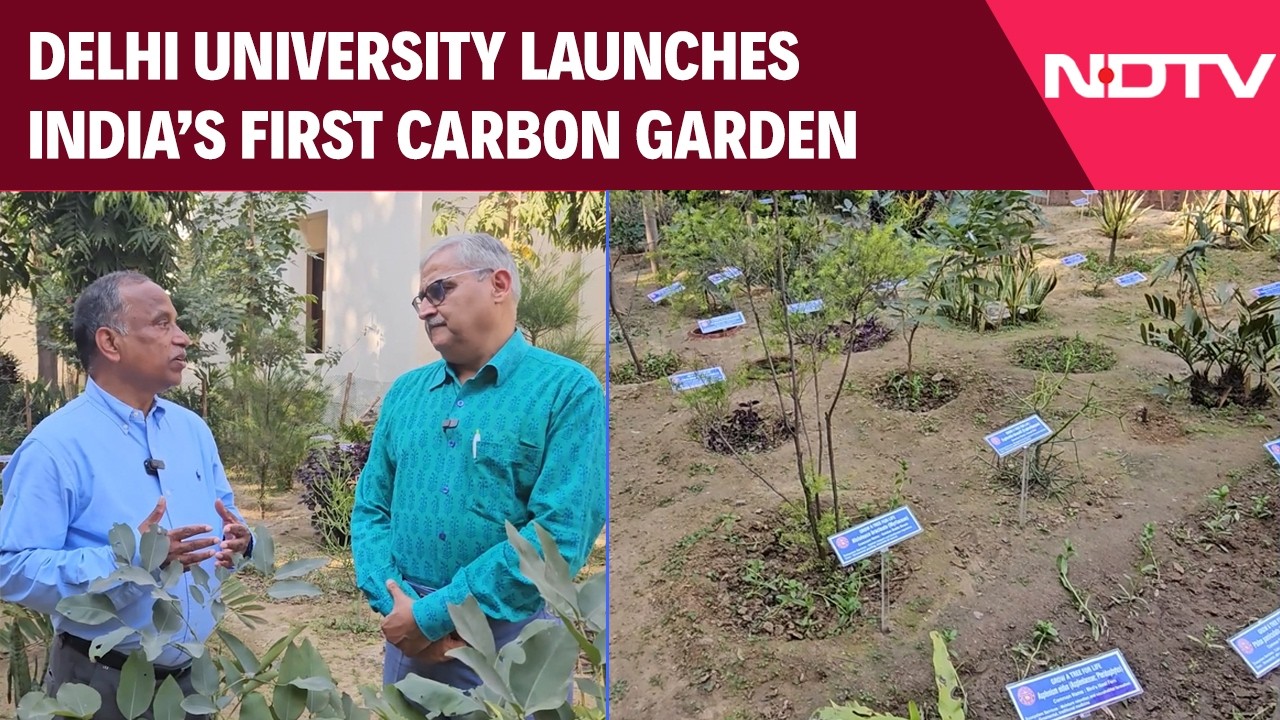 Delhi News | Carbon Capture, Indian Style: Delhi University, Designs Garden That Breathes For Delhi
