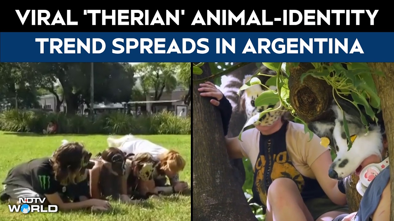 Therians News | Viral Animal Identity Trend &lsquo;Therian&rsquo; Takes Over Argentina