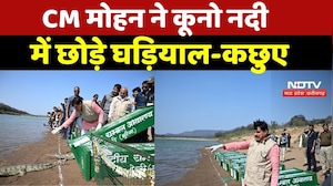 Sheopur News: CM Mohan ने Kuno River में छोड़े घड़ियाल-कछुए | Top Breaking News | Latest News