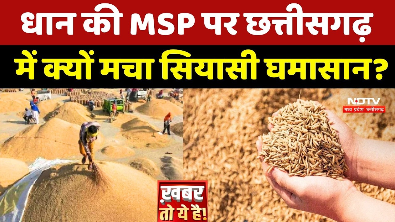 Dhan की MSP पर Chhattisgarh में क्यों मचा सियासी घमासान?