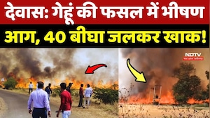 Dewas: गेहूं की फसल में लगी भीषण आग, 40 बीघा जलकर खाक!