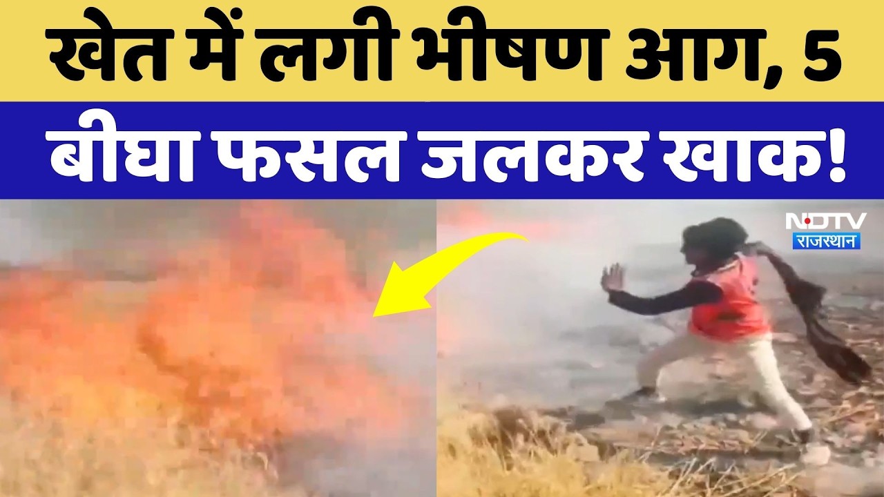 Baran News: खेत में लगी भीषण आग,  5 बीघा फसल खाक, सदमें में Farmer! Rajasthan | Breaking News