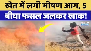 Baran News: खेत में लगी भीषण आग,  5 बीघा फसल खाक, सदमें में Farmer! Rajasthan | Breaking News