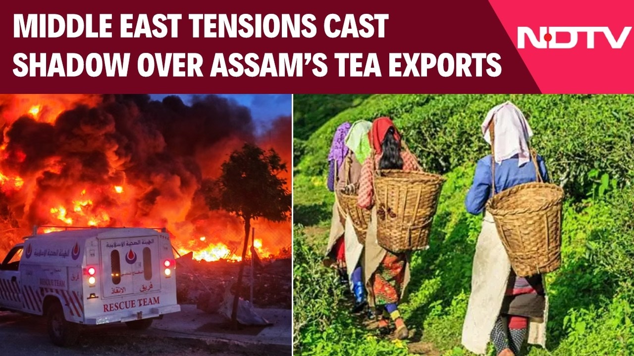 US Iran War Latest News | Middle East Tensions Cast Shadow Over Assam’s Orthodox Tea Exports