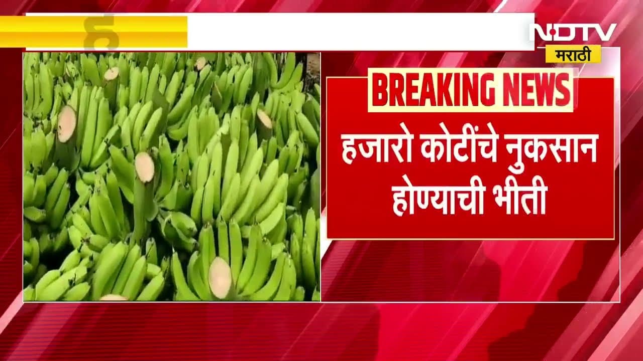 Farmers News | हवामानाचा द्राक्षांना फटका, तर केळी पिकाला इराण इस्त्रायल युद्धाचा फटका