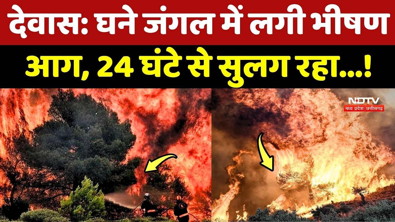 Dewas Jungle Fire: घने जंगल में लगी भीषण आग, 24 घंटे से सुलग रहा...!