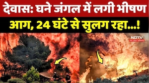 Dewas Jungle Fire: घने जंगल में लगी भीषण आग, 24 घंटे से सुलग रहा...!