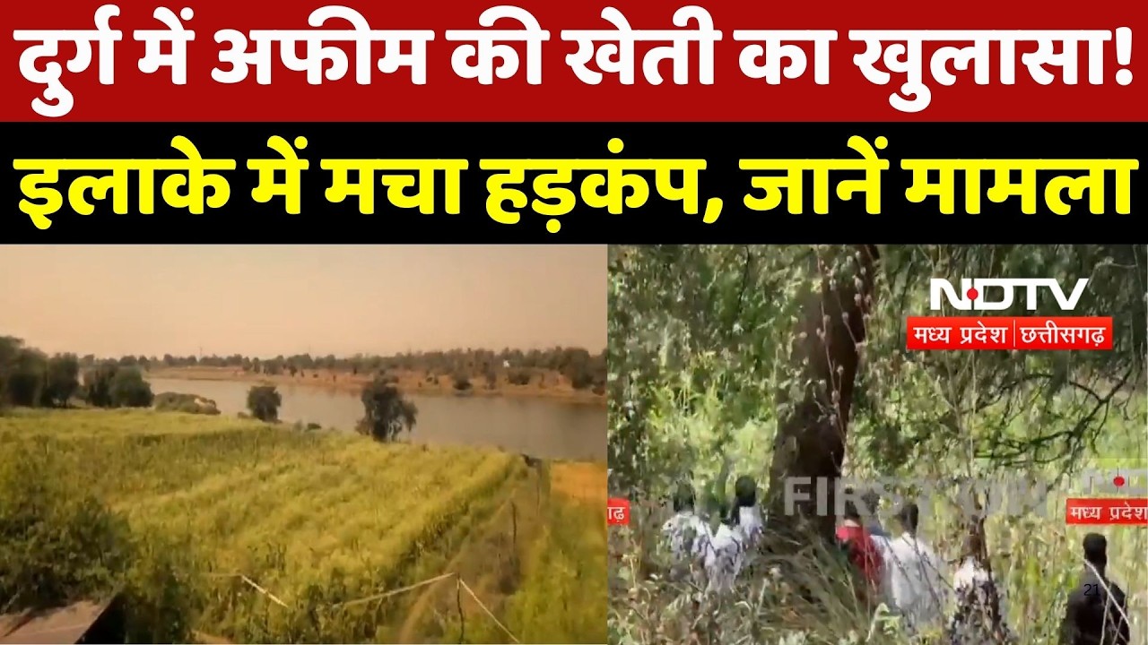 Durg में अफीम की खेती का खुलासा! इलाके में मचा हड़कंप, जानें मामला