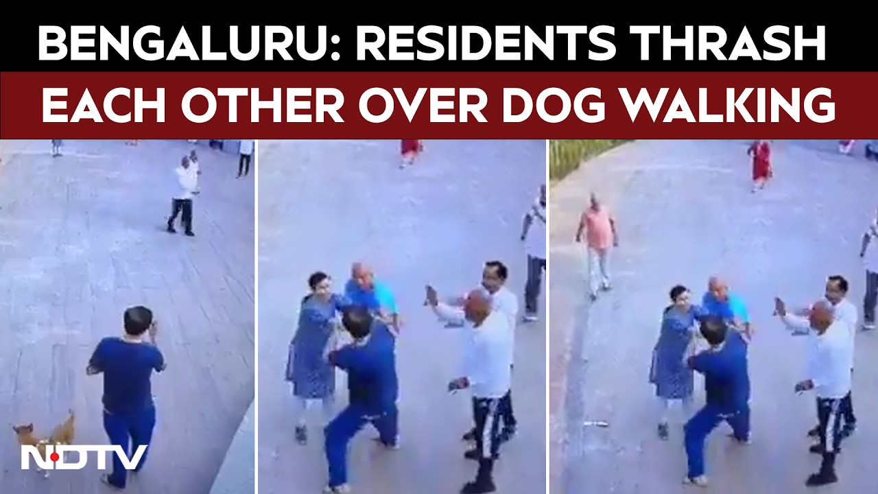 Bengaluru: Apartment Residents Thrash Each Other Over Dog Walking