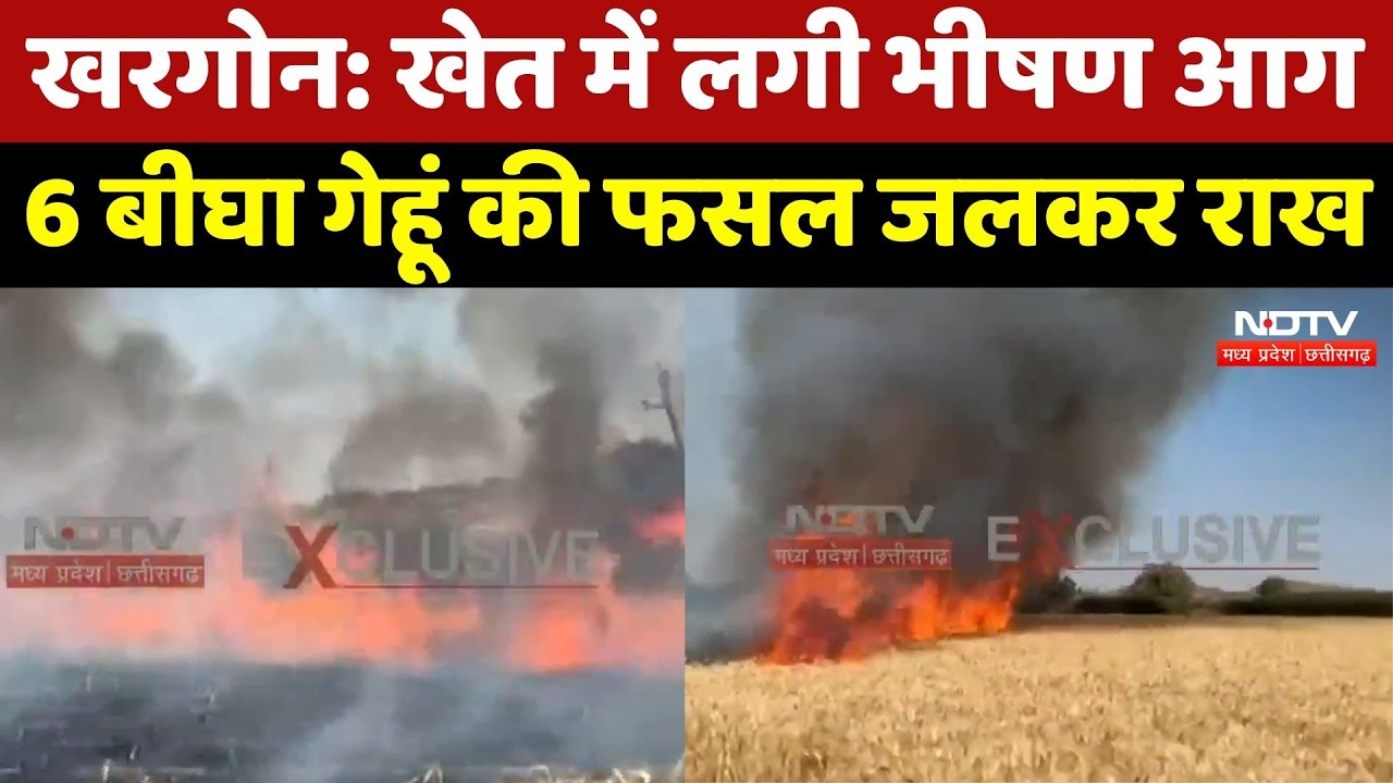 Khargone News: खेत में लगी आग, 6 बीघा से ज्यादा गेहूं की फसल जलकर खाक! MPCG News | Top News