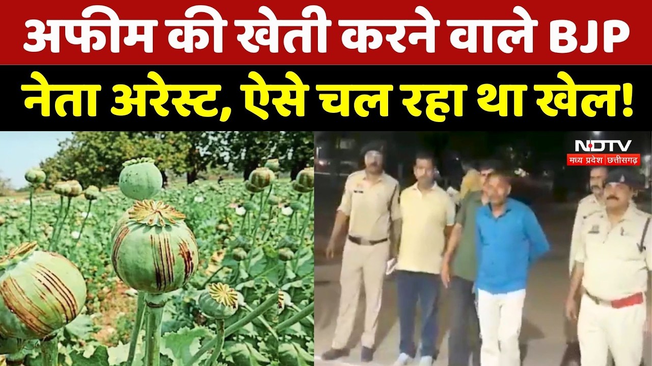Afeem Ki Kheti: दुर्ग में अफीम की खेती पर बड़ी कार्रवाई, BJP leader Vinayak Tamrakar समेत 3 गिरफ्तार