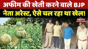 Afeem Ki Kheti: दुर्ग में अफीम की खेती पर बड़ी कार्रवाई, BJP leader Vinayak Tamrakar समेत 3 गिरफ्तार
