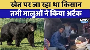 Bear Attack On Farmer: घर से खेत पर जा रहा किसान, तभी 3 भालुओं ने किया हमला | Rajasthan News
