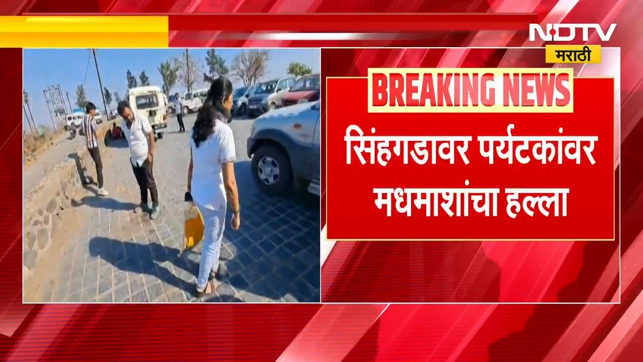 Pune | सिंहगडावर पर्यटकांवर मधमाशांचा हल्ला | NDTV मराठी