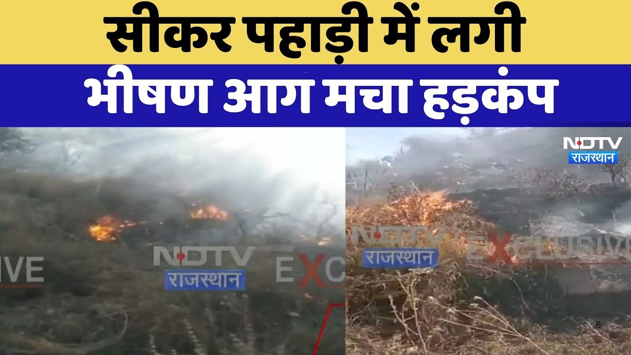 Sikar Massive Fire: पहाड़ी में लगी भीषण आग | Viral Video | Rajasthan Top News | Latest News