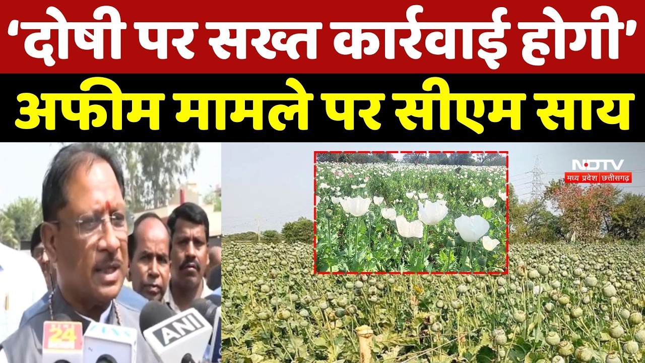Durg Opium Farming Case: 'दोषी पर सख्त कार्रवाई होगी' अफीम मामले पर CM Sai