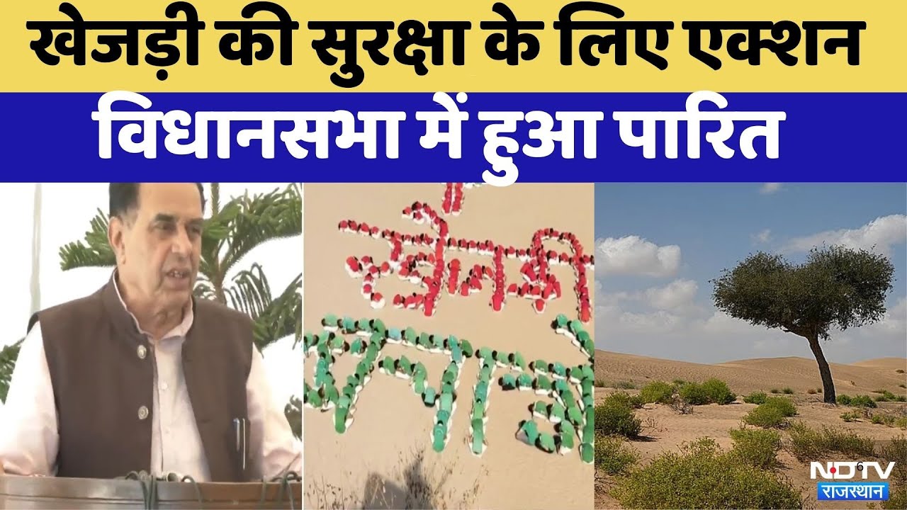 Khejri की सुरक्षा के लिए Action में Bhajanlal Government | Rajasthan Top News | Jogaram Patel