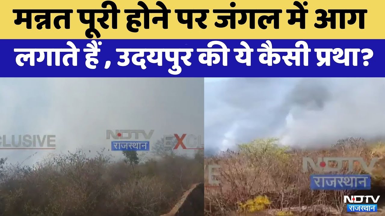 Udaipur Fire: मन्नत पूरी होने पर जंगल में आग | Viral Video | Top News | Rajasthan