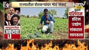 Iran-Israel Conflict | राज्यातील शेतकऱ्यांचं मोठं नुकसान होणार? टुरबुजाचे दर कोसळले | NDTV मराठी