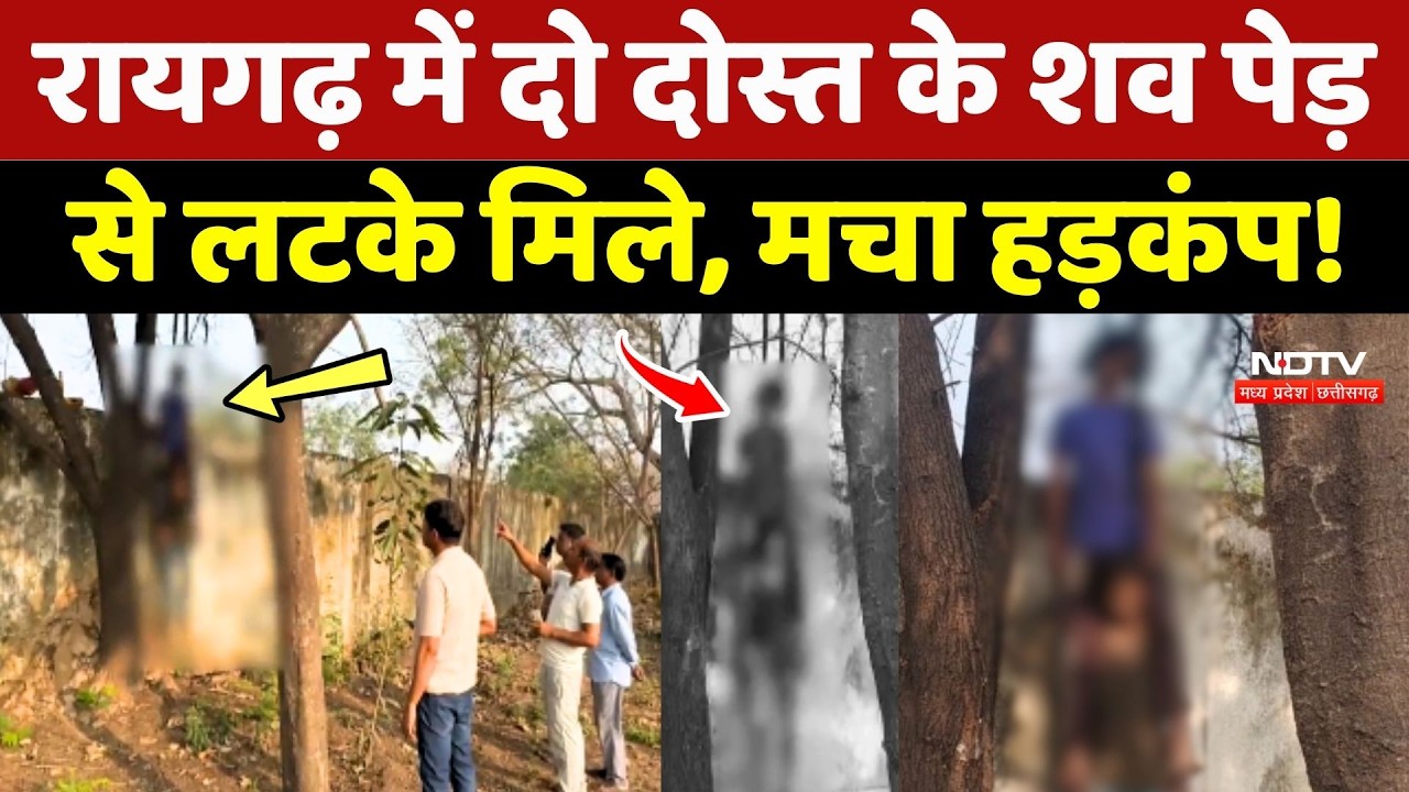 Raigarh में दो दोस्त के शव पेड़ से लटके मिले, मचा हड़कंप!