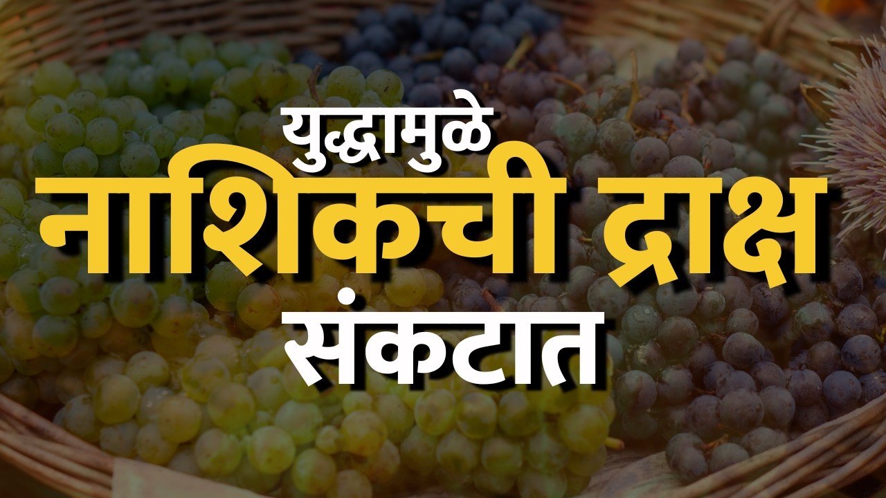 Iran-Israel युद्धामुळे Nashikची द्राक्ष संकटात, बाहेर देशात जाणारे कंटेनर्स परत पाठवले | NDTV मराठी