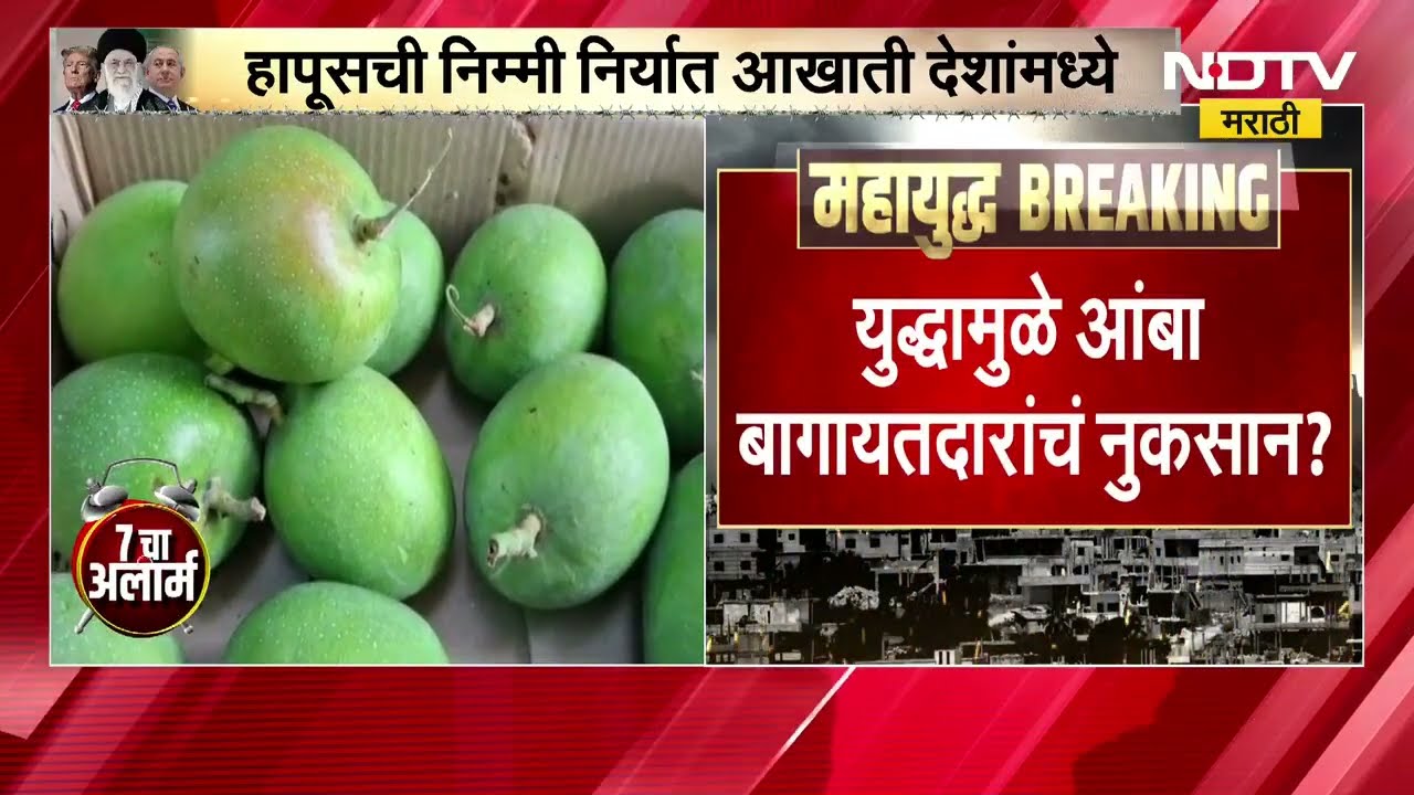 Issues in Mango Exports | निम्मी निर्यात आखाती देशांमध्ये होत असल्याने आंबा निर्यातीवर होणार परिणाम