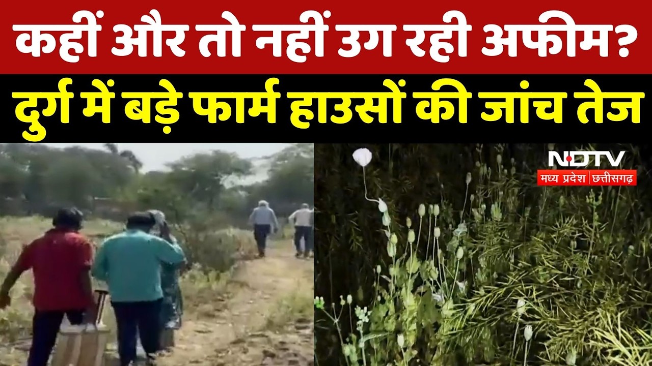 Durg Opium Farming Case: अवैध अफीम की खेती पर बड़ा Action ! दुर्ग में प्रशासन की सघन जांच शुरू
