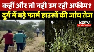 Durg Opium Farming Case: अवैध अफीम की खेती पर बड़ा Action ! दुर्ग में प्रशासन की सघन जांच शुरू