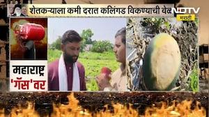 War impact Watermelon Farming | युद्धाचा परिणाम कलिंगड शेतकऱ्यांवर कमी दरांमध्ये उत्पादन विकायची वेळ