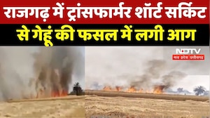 Rajgarh में फसल हादसा! किसान की मेहनत पर आग का कहर