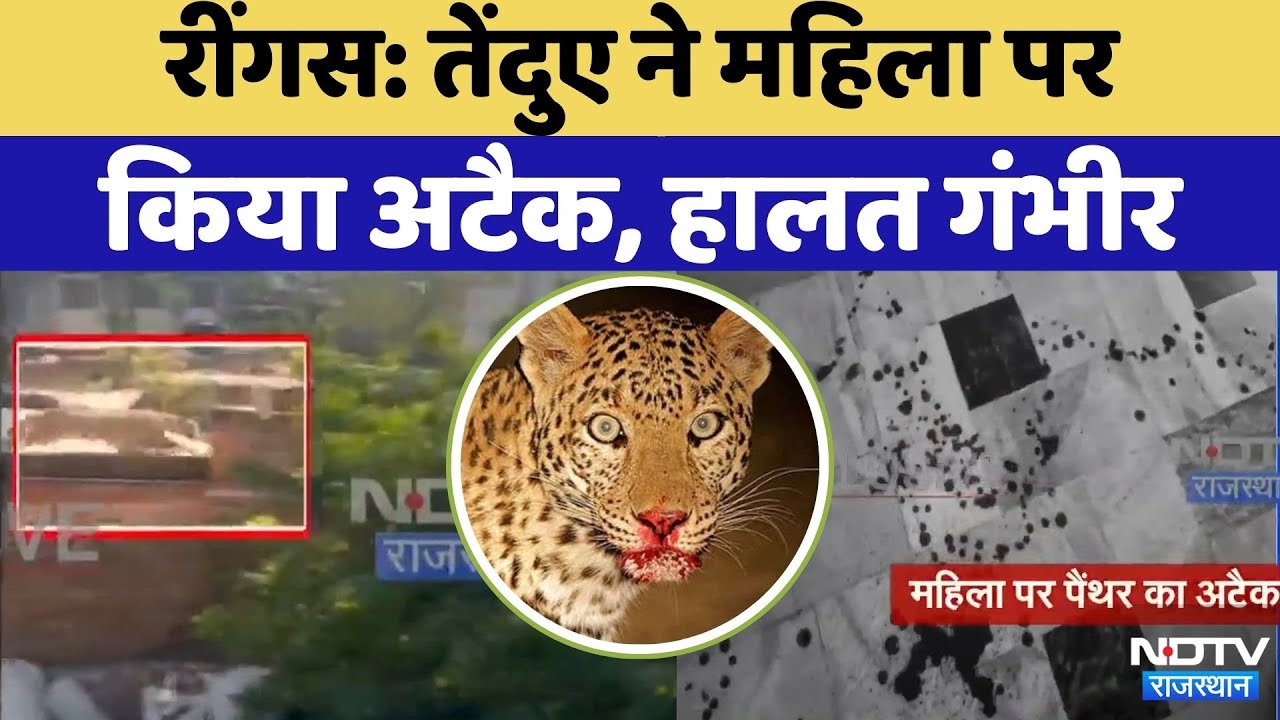 Reengus Leopard Attack: रींगस में तेंदुए ने महिला पर किया हमला | Rajasthan Top News | Viral Video