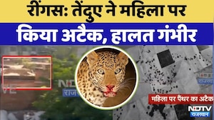 Reengus Leopard Attack: रींगस में तेंदुए ने महिला पर किया हमला | Rajasthan Top News | Viral Video