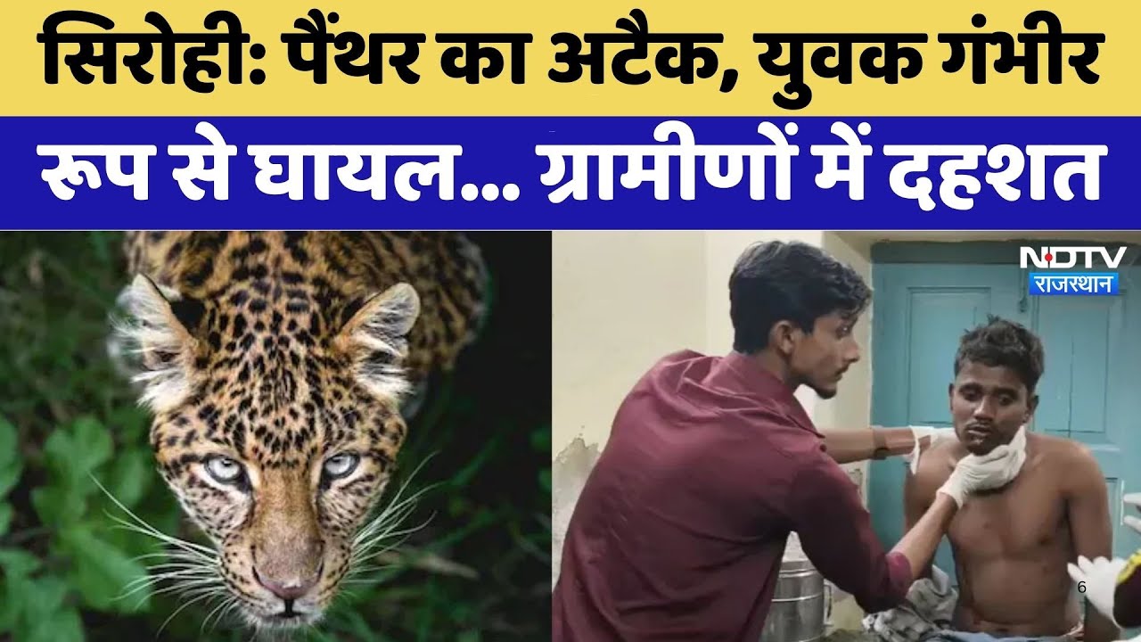 Sirohi में भी Panther Attack, युवक गंभीर रूप से घायल | Rajasthan Top News | Viral Video