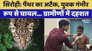 Sirohi में भी Panther Attack, युवक गंभीर रूप से घायल | Rajasthan Top News | Viral Video