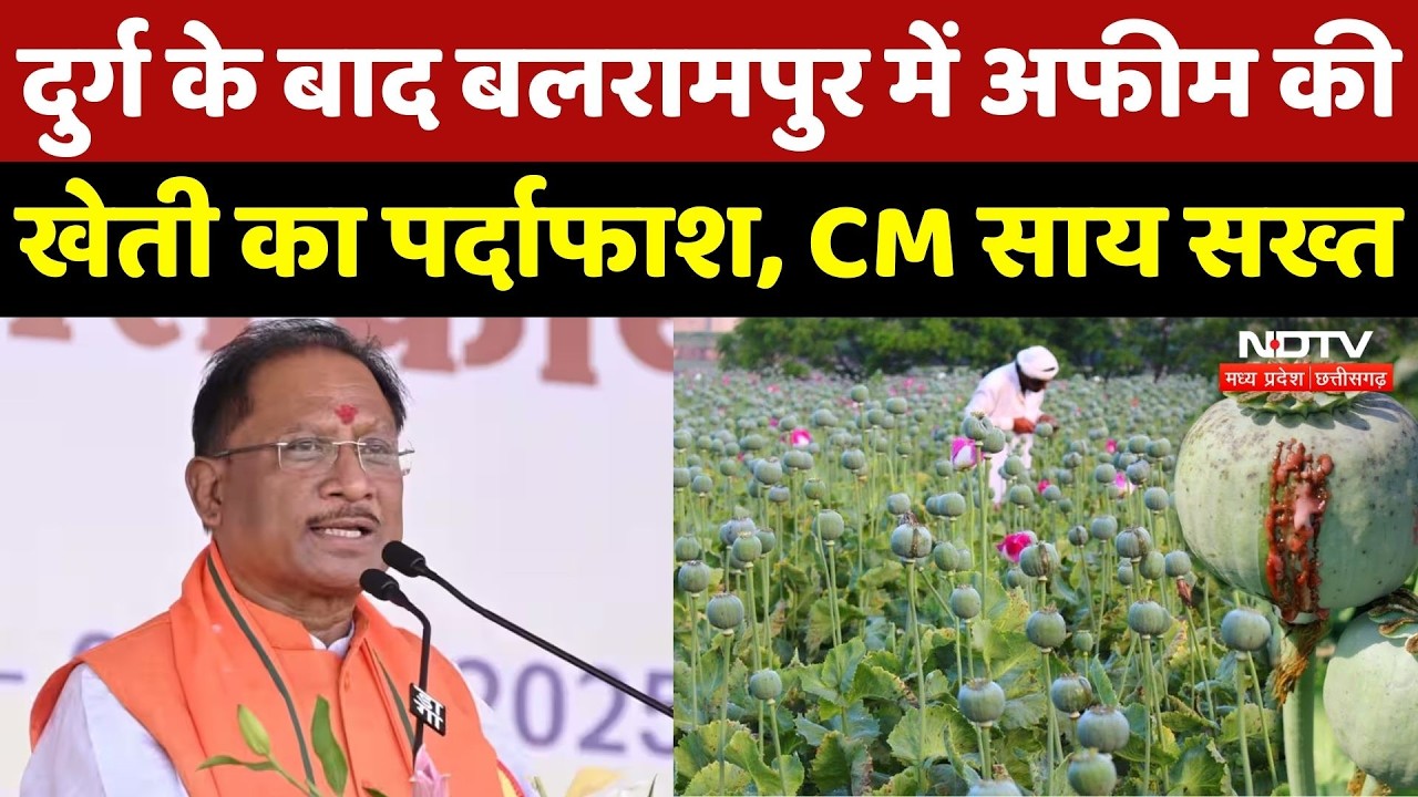 Opium Farming Case: Durg के बाद Balrampur में भी अफीम की खेती का खुलासा! CM Visnu का सख्त Action