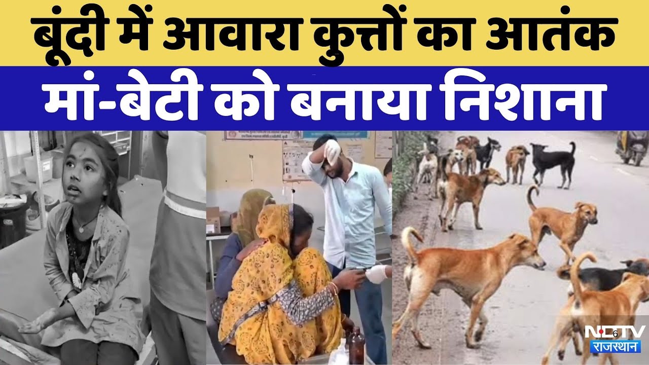 Bundi में Stray Dogs का आतंक, मां-बेटी पर किया हमला  | Rajasthan Top News |  Viral Video