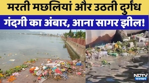 Anasagar Lake: आनासागर की बदहाली का जिम्मेदार कौन? | Rajasthan Top News | Viral Video | Ajmer